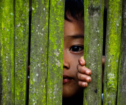 small child hiding behind green fence, with one eye peeking through